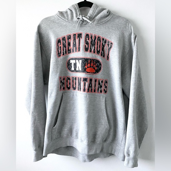 🛑SOLD🛑 Vintage Great Smoky Mountains Grey Hoodie Size Large - Picture 1 of 3